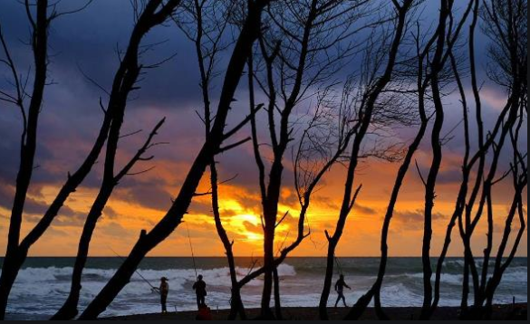 wisata pantai jogja terbaru malam hari di jogja murah kota jogja terbaik kidul jogja objek ngobaran jogja wisata jogja pantai glagah indah di kota jogja hits wisata malam pantai jogja